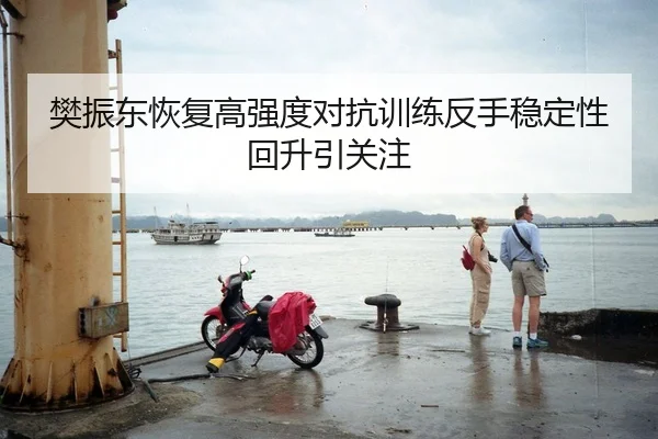 樊振东恢复高强度对抗训练反手稳定性回升引关注