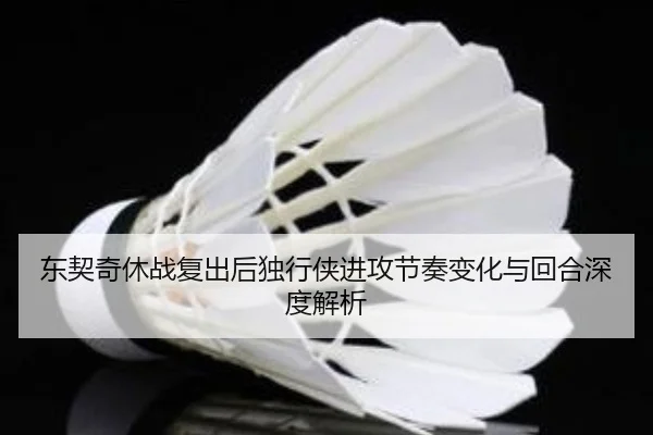 东契奇休战复出后独行侠进攻节奏变化与回合深度解析
